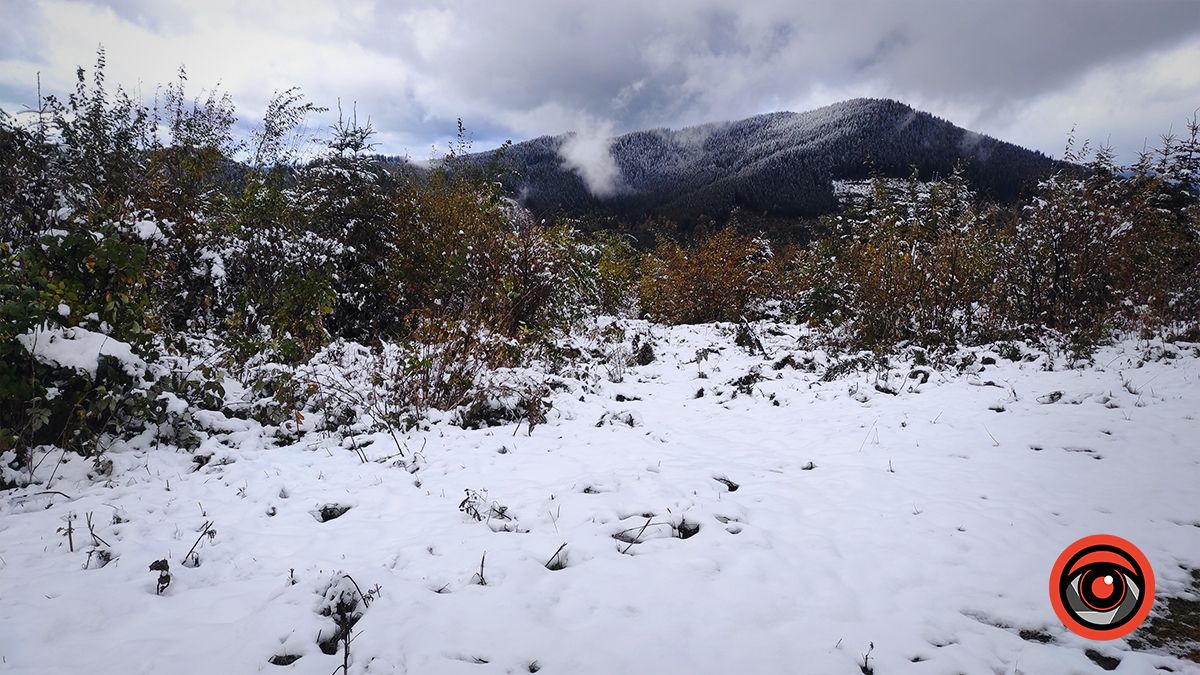 Засніжені Карпати | Фоторепортаж 5