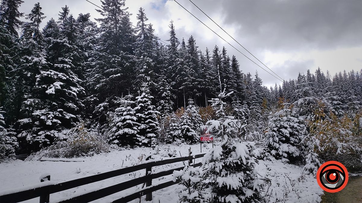 Засніжені Карпати | Фоторепортаж 6