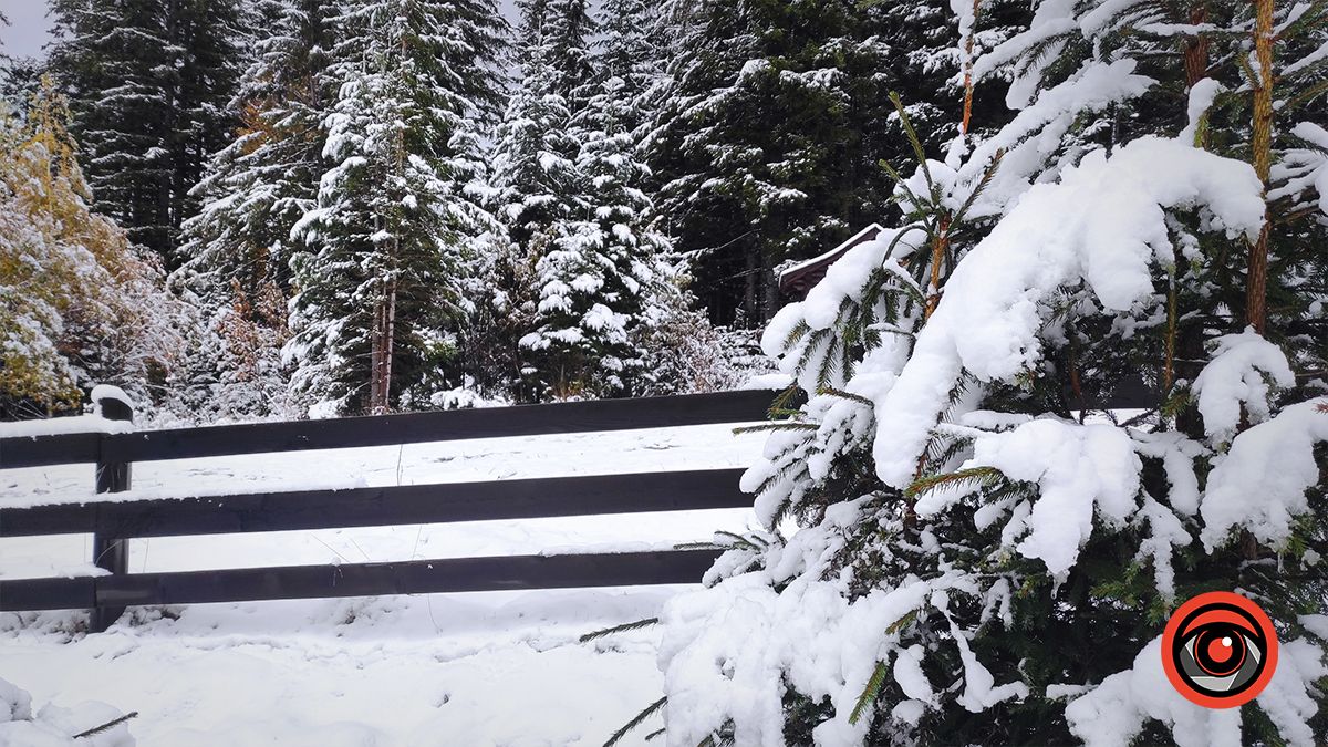 Засніжені Карпати | Фоторепортаж 3