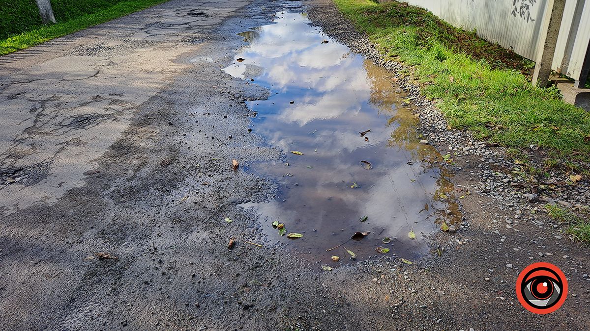 Бережіть ходову | У якому стані дорога у Княждворі 14