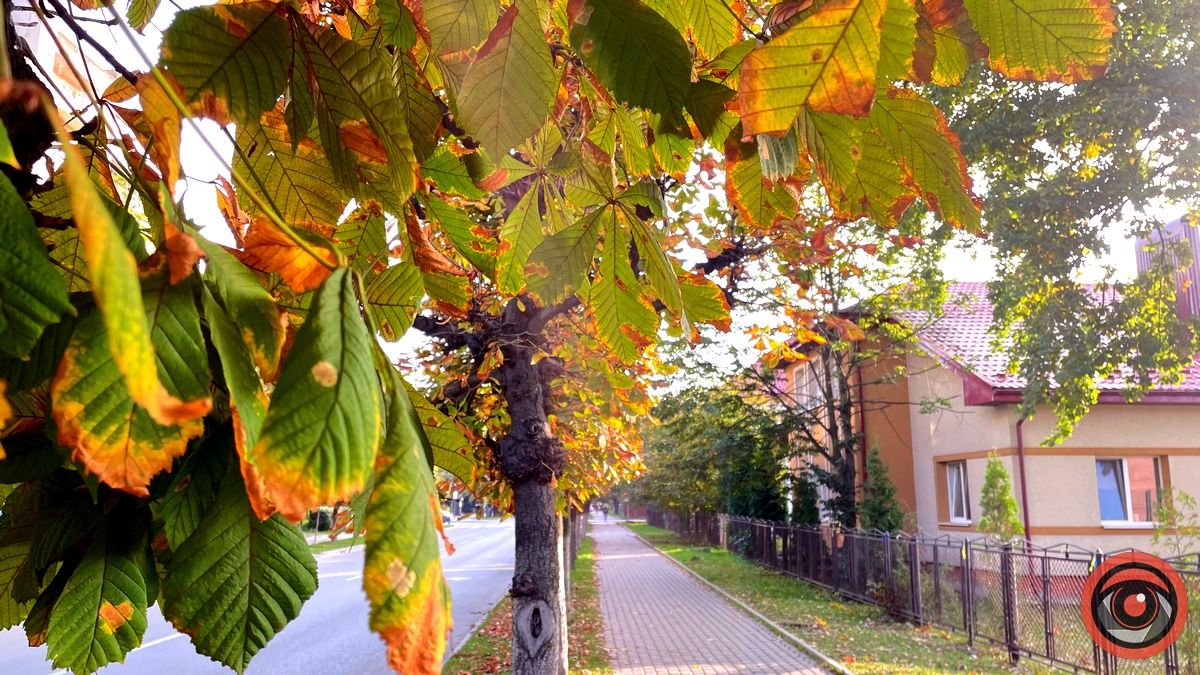 Погода у Коломиї 5 жовтня