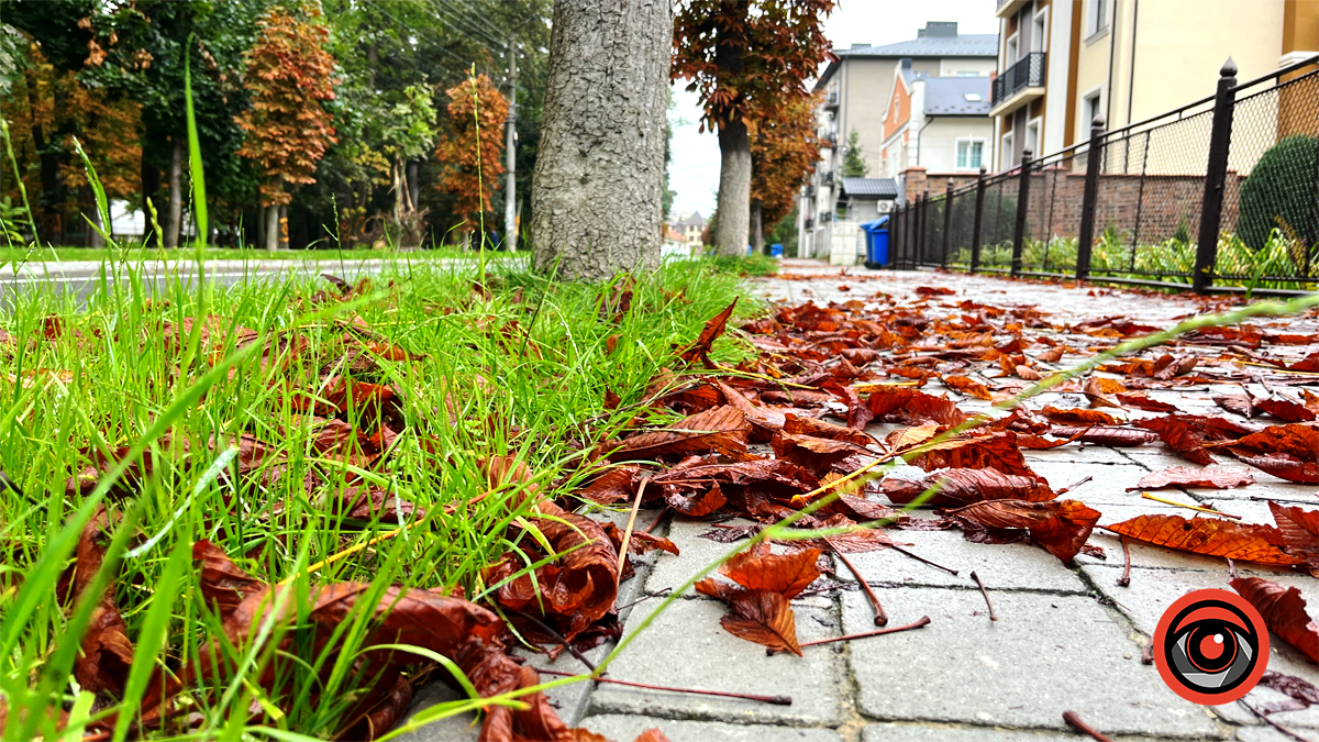 Погода у Коломиї 16 жовтня