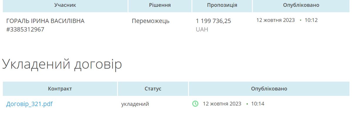 Уникнути торгів: на 1,5-мільйонній закупівлі освітлення біля парку в Коломиї не зекономили ні копіки 2
