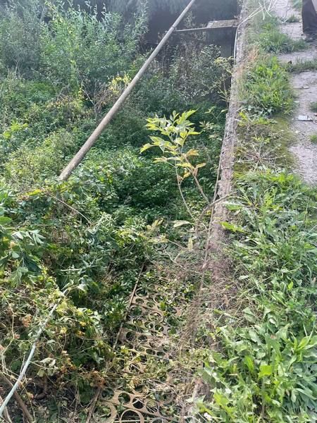 В Обертині руйнується автомобільний міст 1