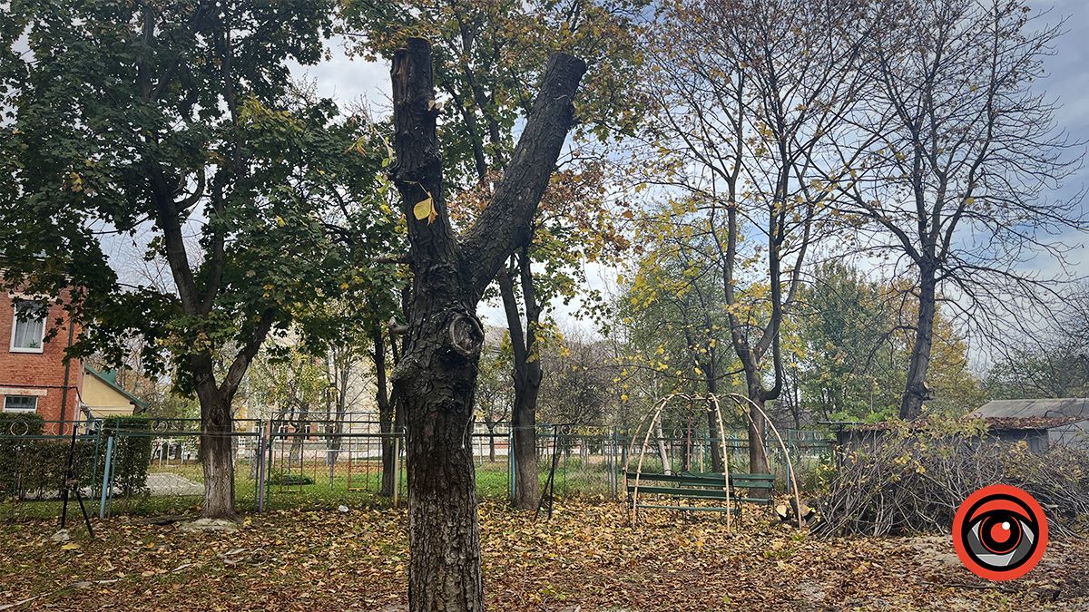 Деякі мешканці підтримують зрізку