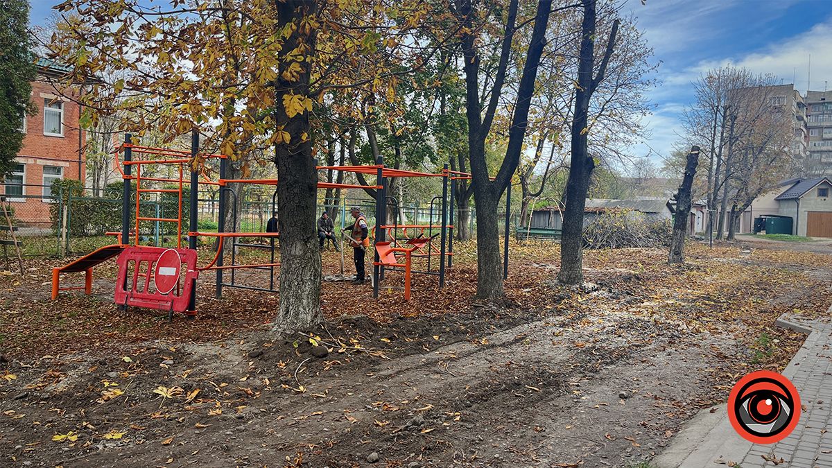 7 каштанів мало піти під лезо бензопили за рішенням місцевих мешканців