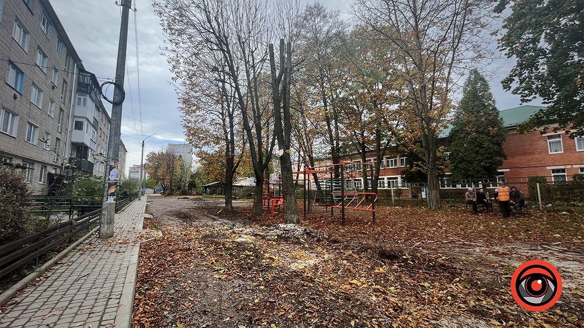 Дозволу на зрізку голова ОСББ не брала Любов Семанюк і не бачить потреби: дерева ж ростуть біля їхнього будинку і не біда, що на міській землі.