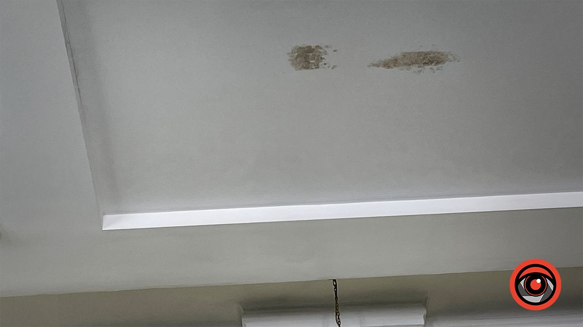 У головній залі ратуші в Коломиї протікає стеля 1