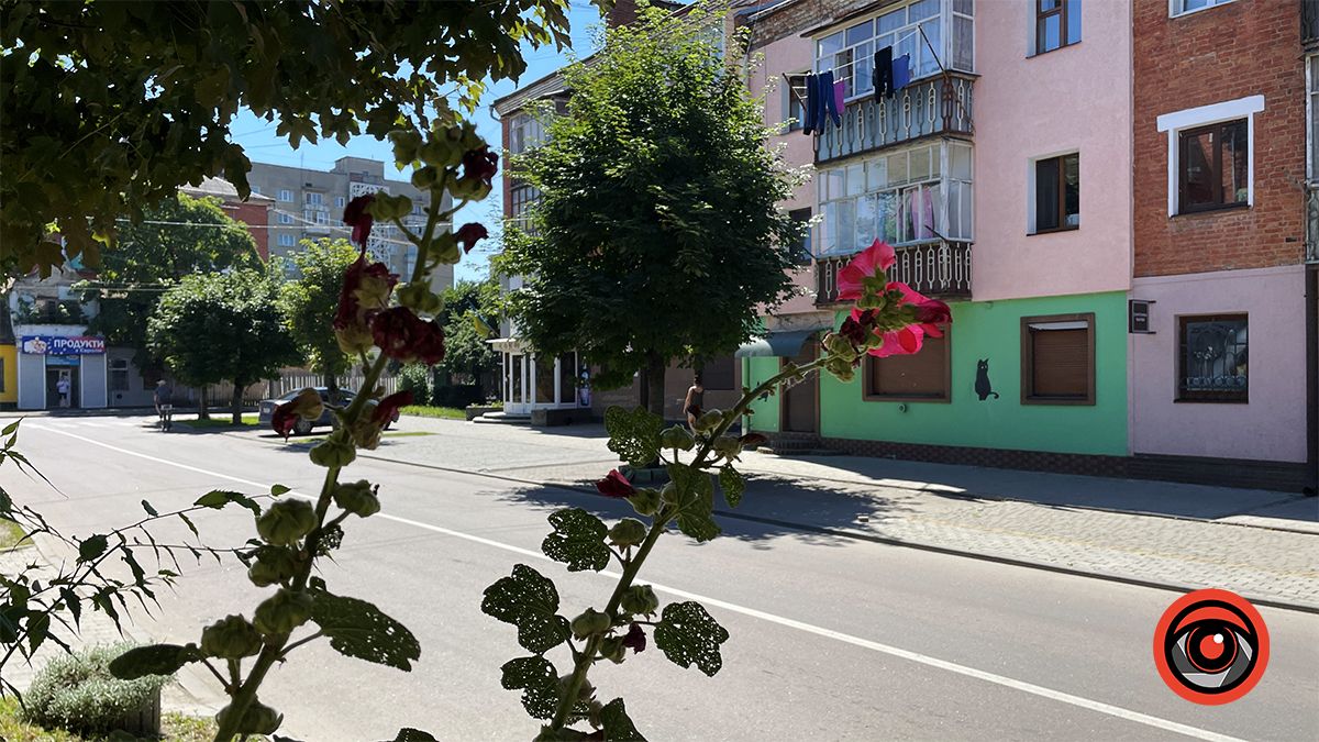 Як за 8 років змінилась вулиця Шкрумеляка в Коломиї 20