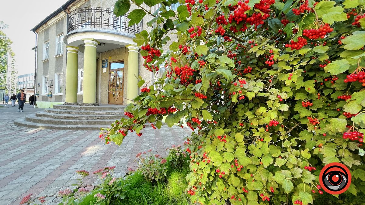 Територію біля ліцею у Коломиї відремонтують за 5 млн 807 тис грн 1