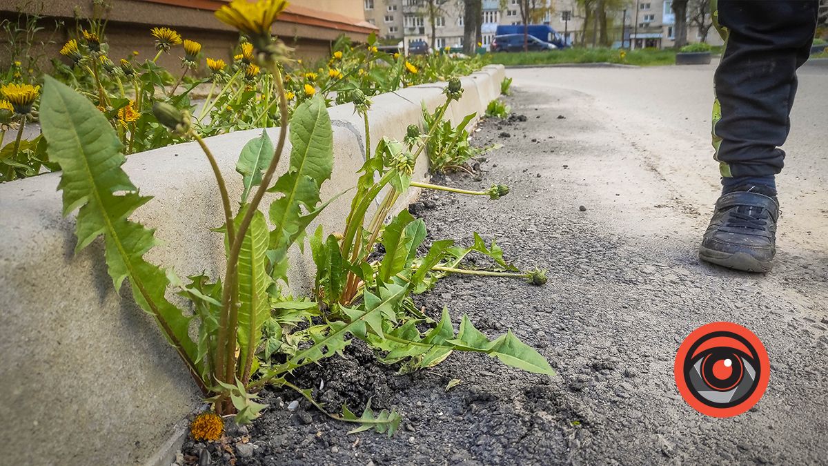 Ознаки руйнування на новому асфальті не вул. Коновальця, 19