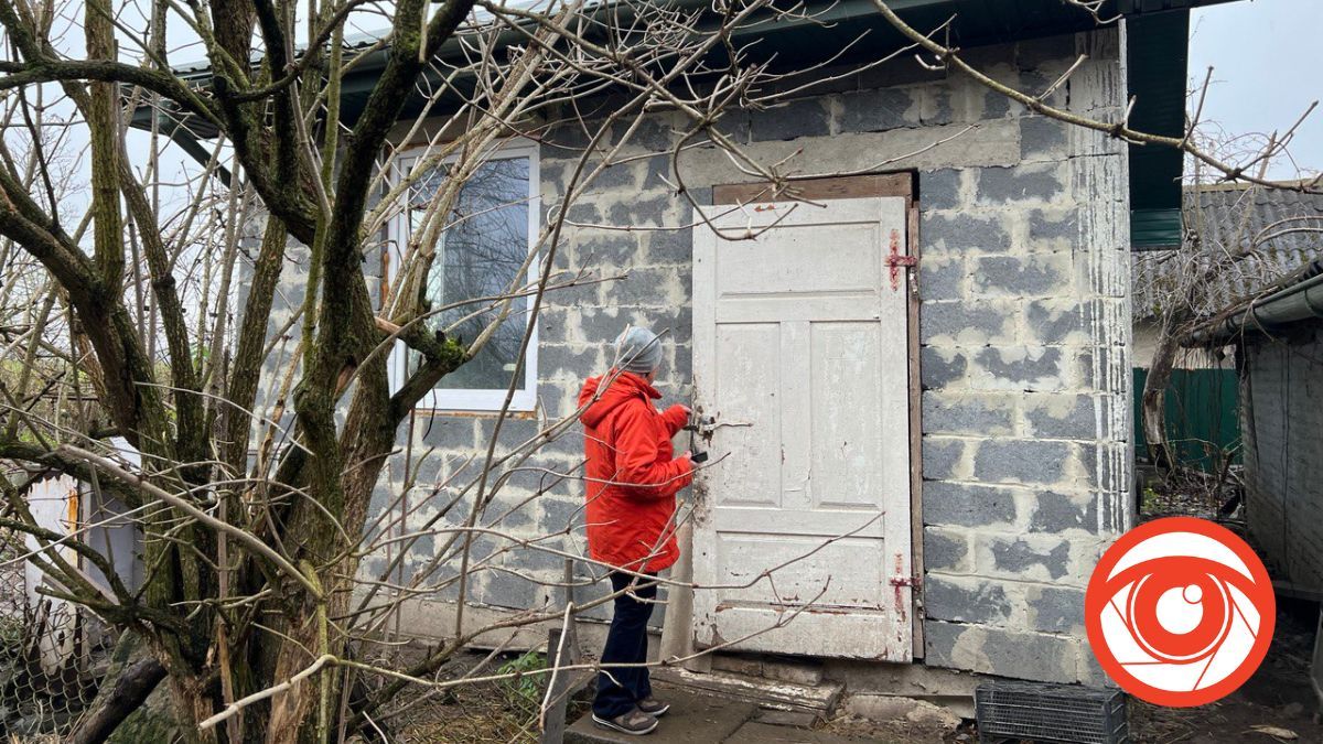В домі прикарпатки живе 70 котів 6