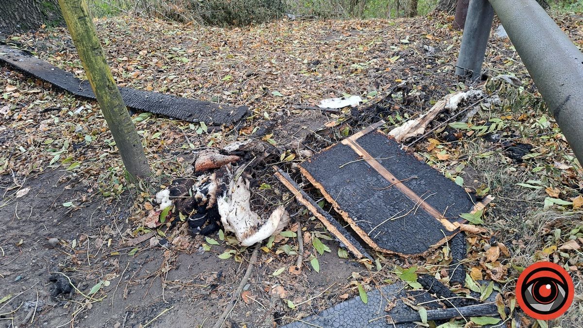 Ввечері 31 жовтня сталась пожежа на дитячому майданчику в селі Королівка 4