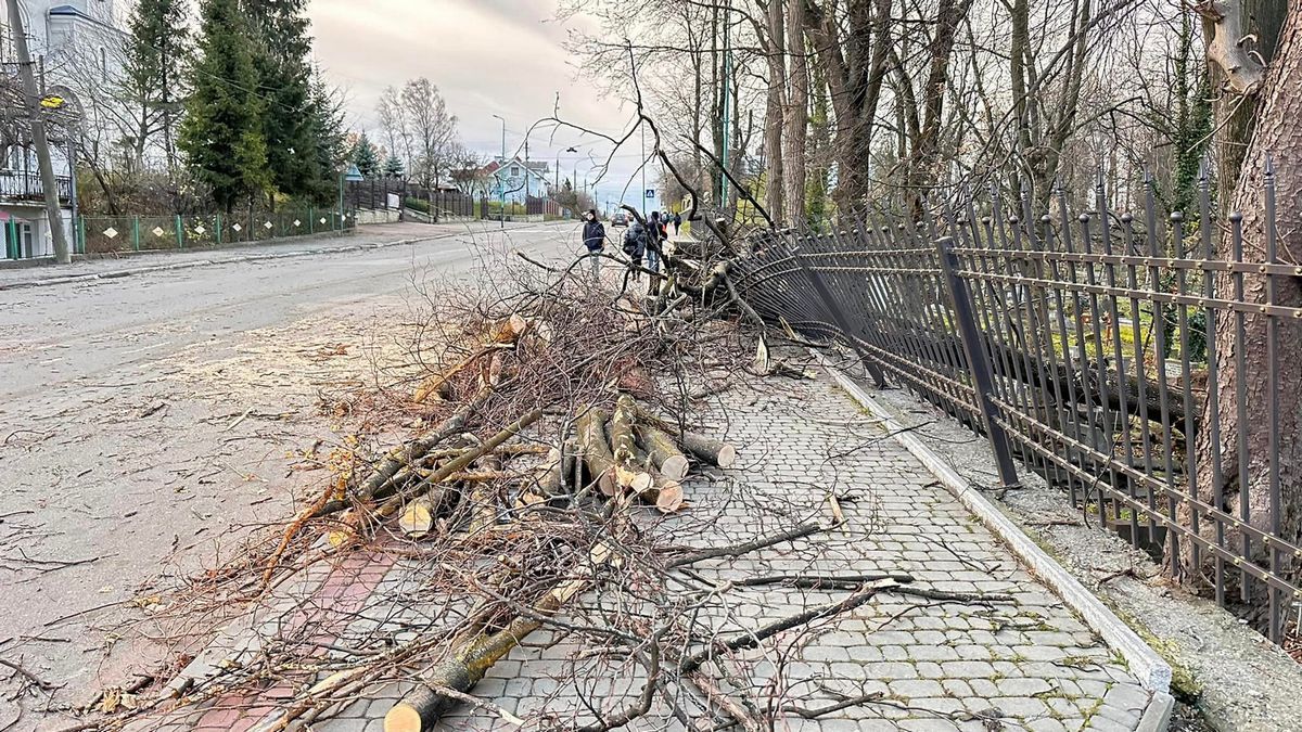 У Надвірній буревій наробив лиха: зірвані банери Героїв та повалені дерева 4