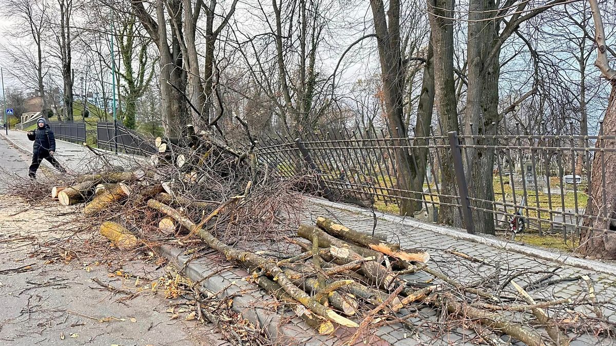 У Надвірній буревій наробив лиха: зірвані банери Героїв та повалені дерева 3