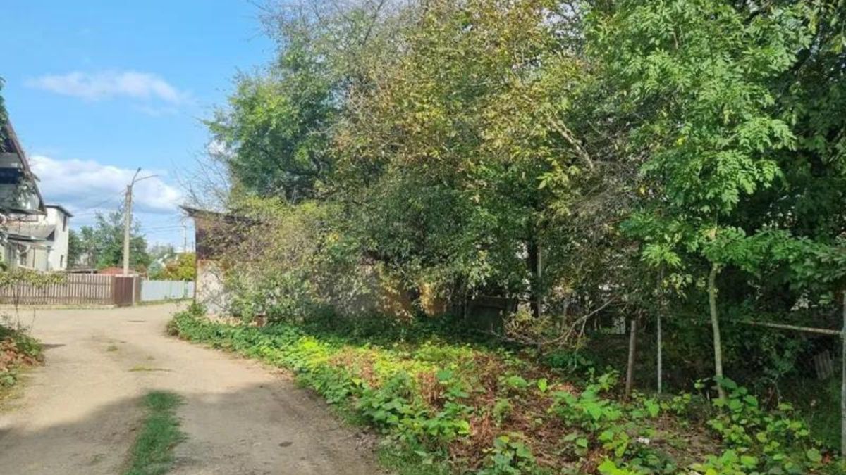 Майже 300 м.кв. міської землі Коломиї продали з молотка за 4 500 євро 1