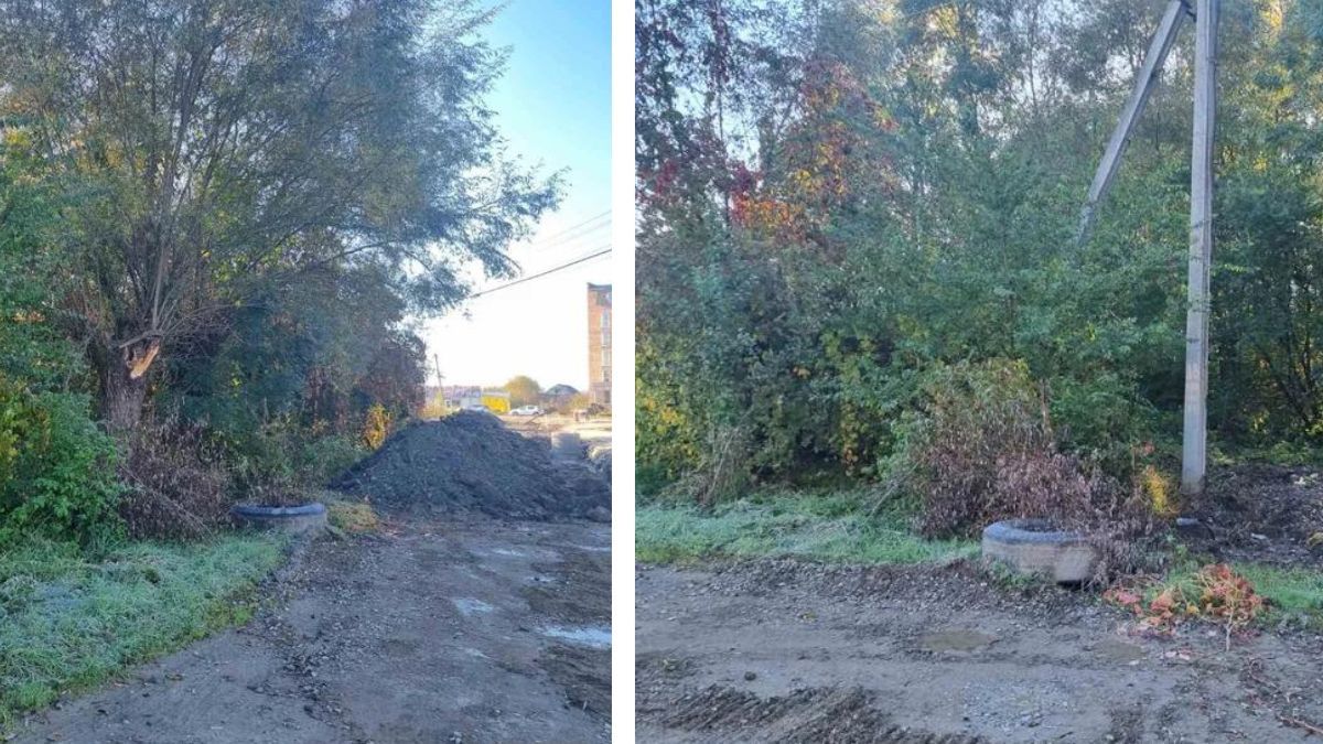 На вулиці Карпатській Коломийська міськрада продає землю за стартовою ціною понад 6 млн грн 1