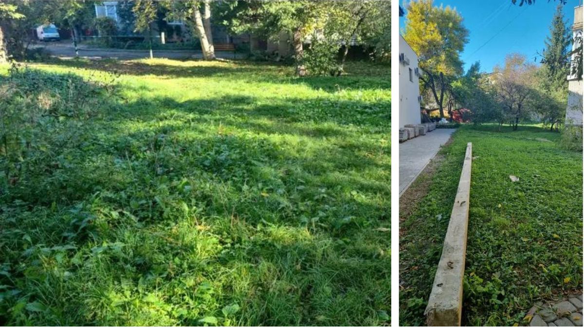 Чия земля: депутат міськради програв дружині колишнього поліцейського на аукціоні 1