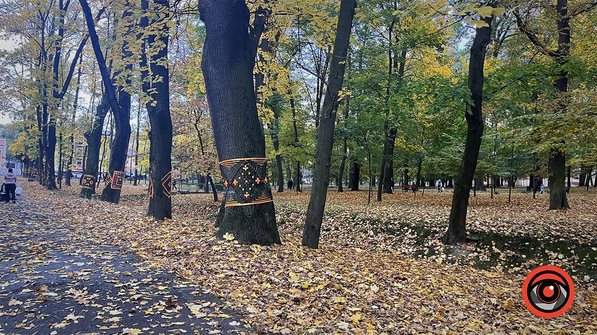 Коломия в фото жовтня 2023 5