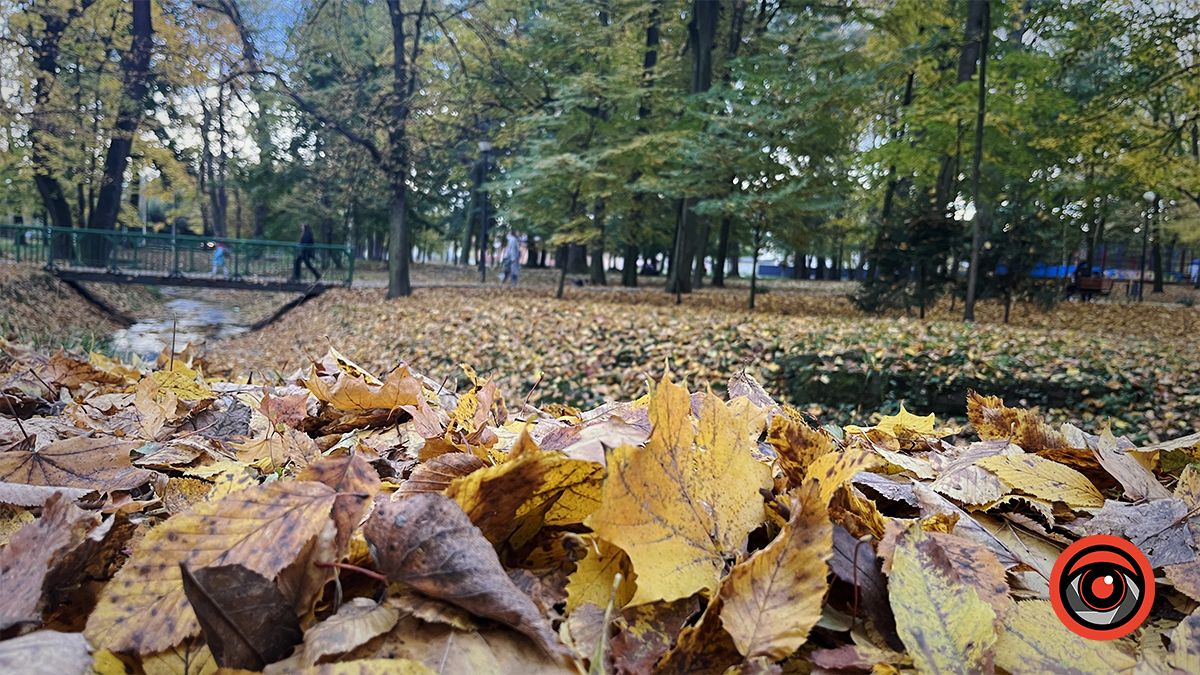 Погода у Коломиї 16 листопада