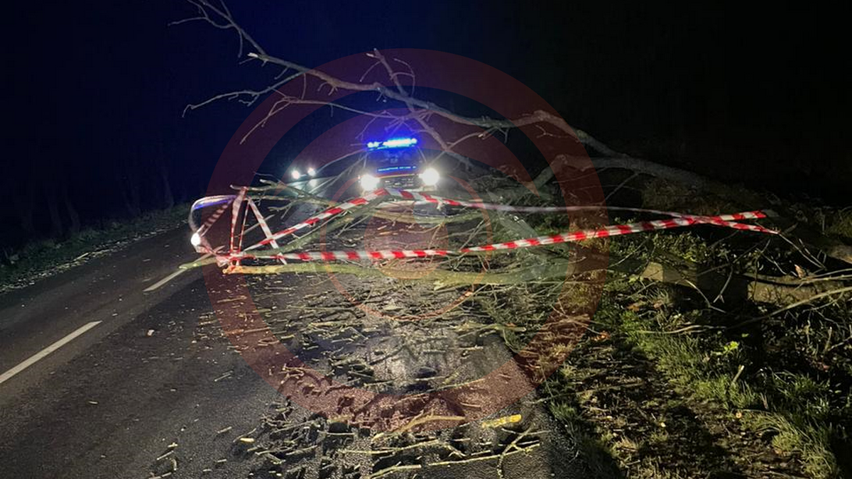 Вдосвіта рятувальники розчищали трасу під Коломиєю