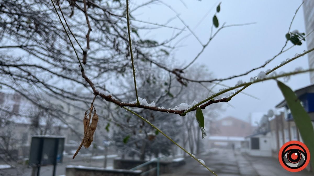 Погода у Коломиї 29 листопада