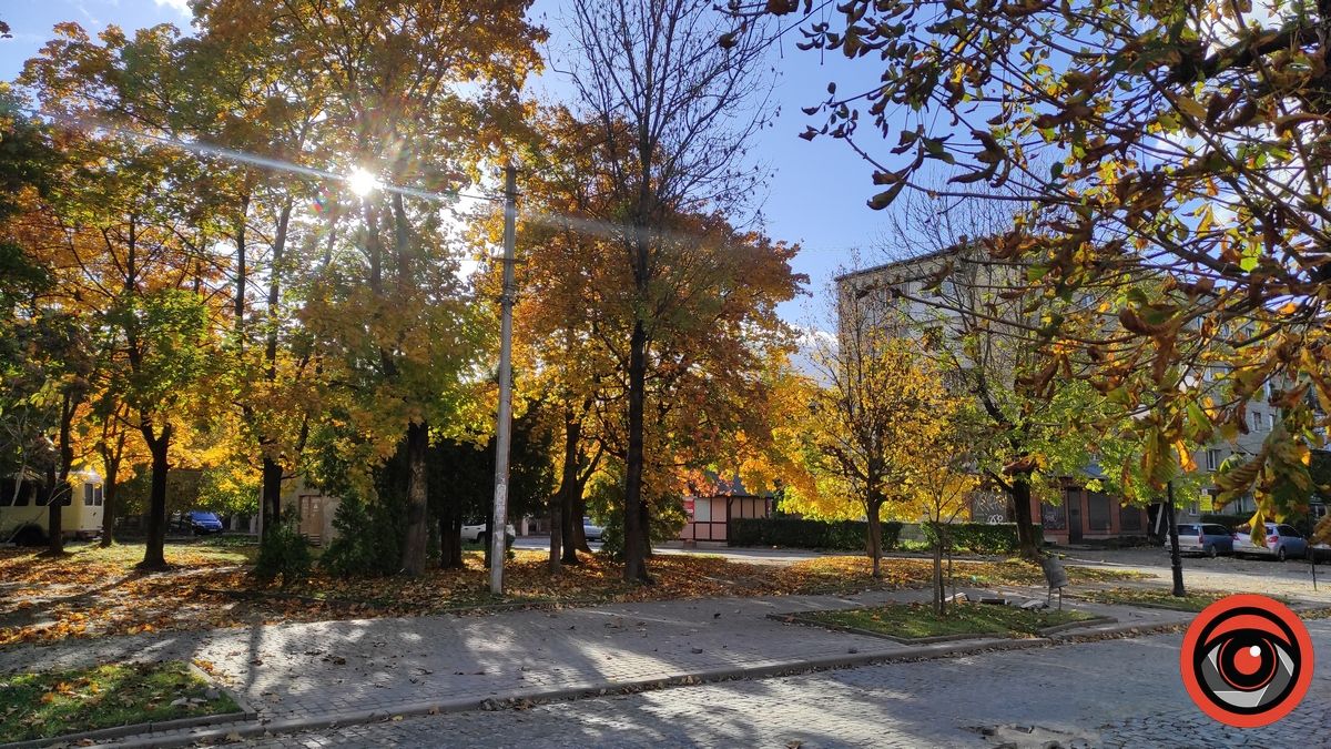 2023 р. Сквер на розі з вул. Коновальця