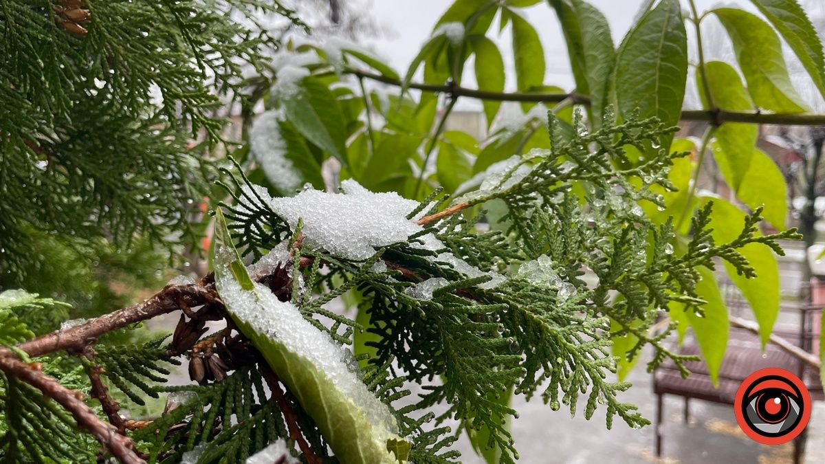 З першим снігом, Коломиє! 7