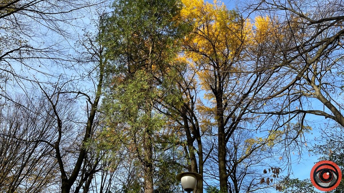 Листопадовий мінор: фоторепортаж з міського парку Коломиї 28