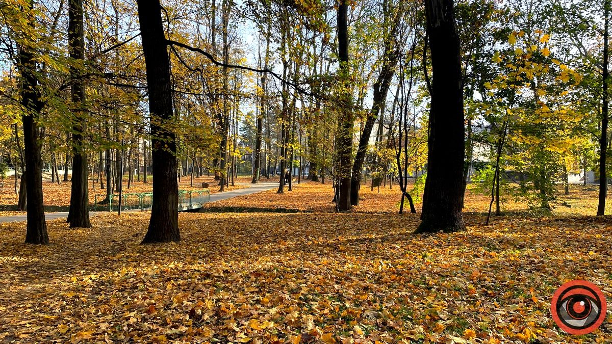 Листопадовий мінор: фоторепортаж з міського парку Коломиї 2