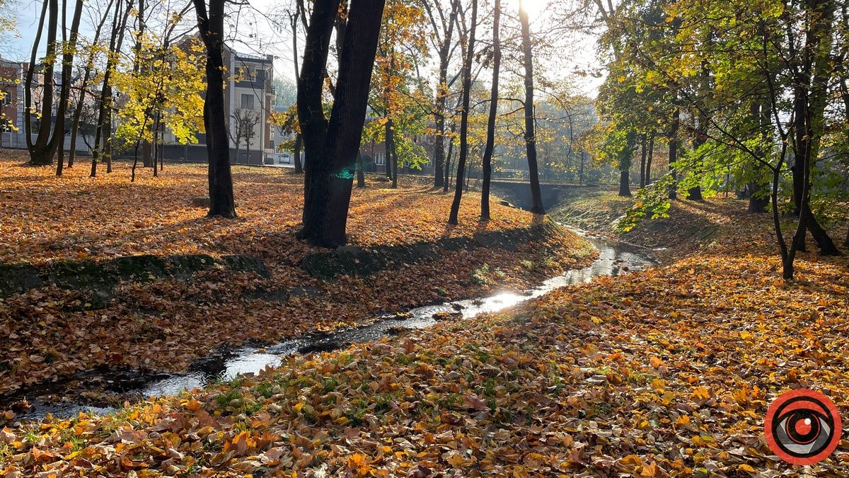 Листопадовий мінор: фоторепортаж з міського парку Коломиї 3