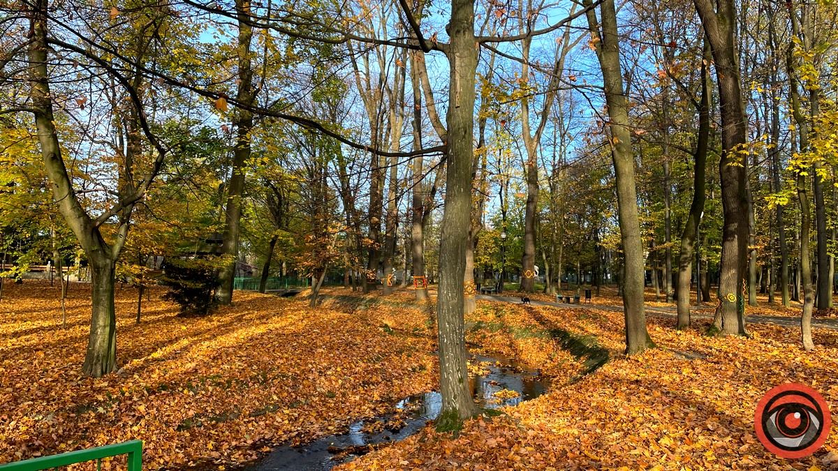 Листопадовий мінор: фоторепортаж з міського парку Коломиї