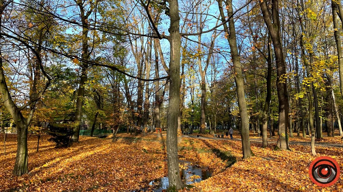 Листопадовий мінор: фоторепортаж з міського парку Коломиї 4