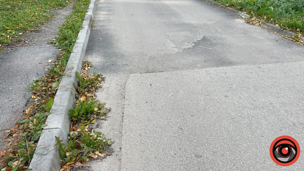 кульбаби на асфальті