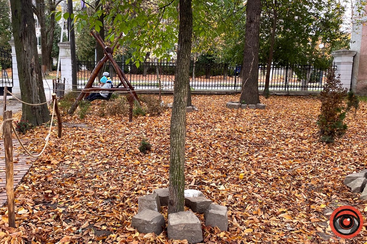 Листопадовий мінор: фоторепортаж з міського парку Коломиї 8