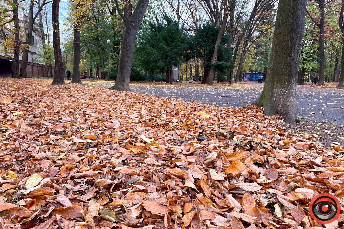 Листопадовий мінор: фоторепортаж з міського парку Коломиї 9