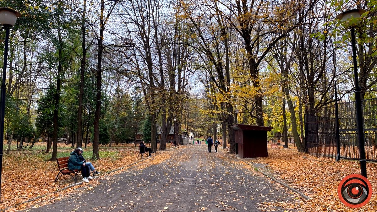 Листопадовий мінор: фоторепортаж з міського парку Коломиї 12