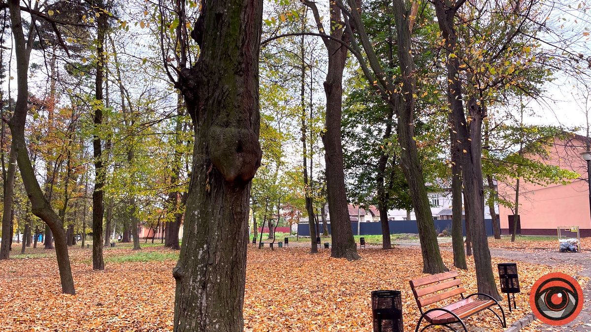 Листопадовий мінор: фоторепортаж з міського парку Коломиї 13