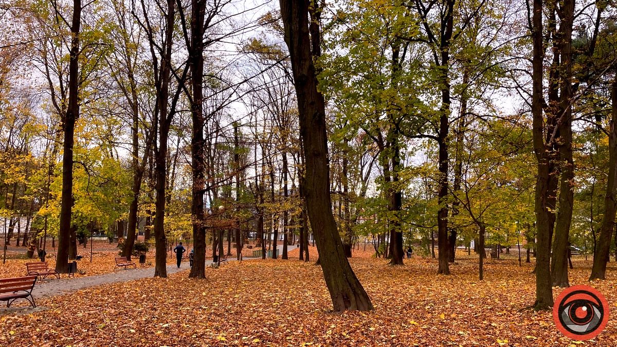 Листопадовий мінор: фоторепортаж з міського парку Коломиї 14