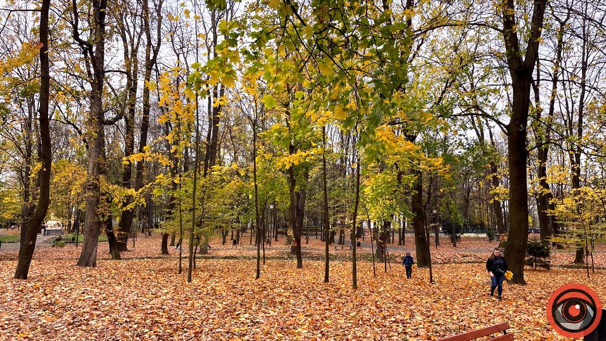 Листопадовий мінор: фоторепортаж з міського парку Коломиї 15