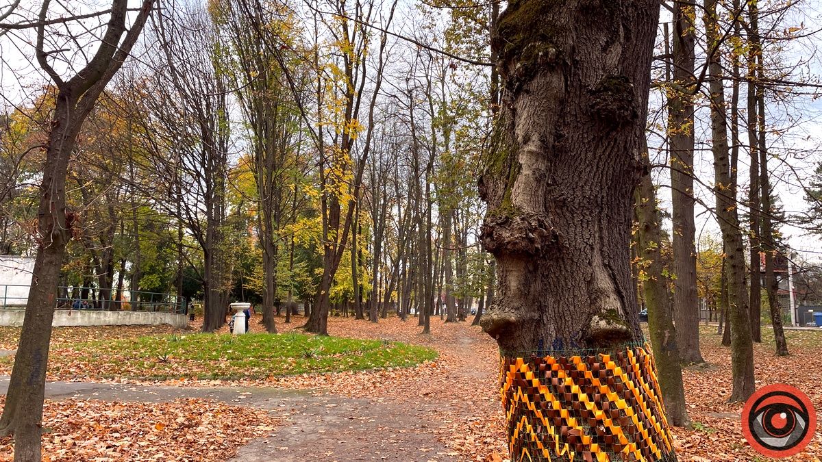 Листопадовий мінор: фоторепортаж з міського парку Коломиї 16