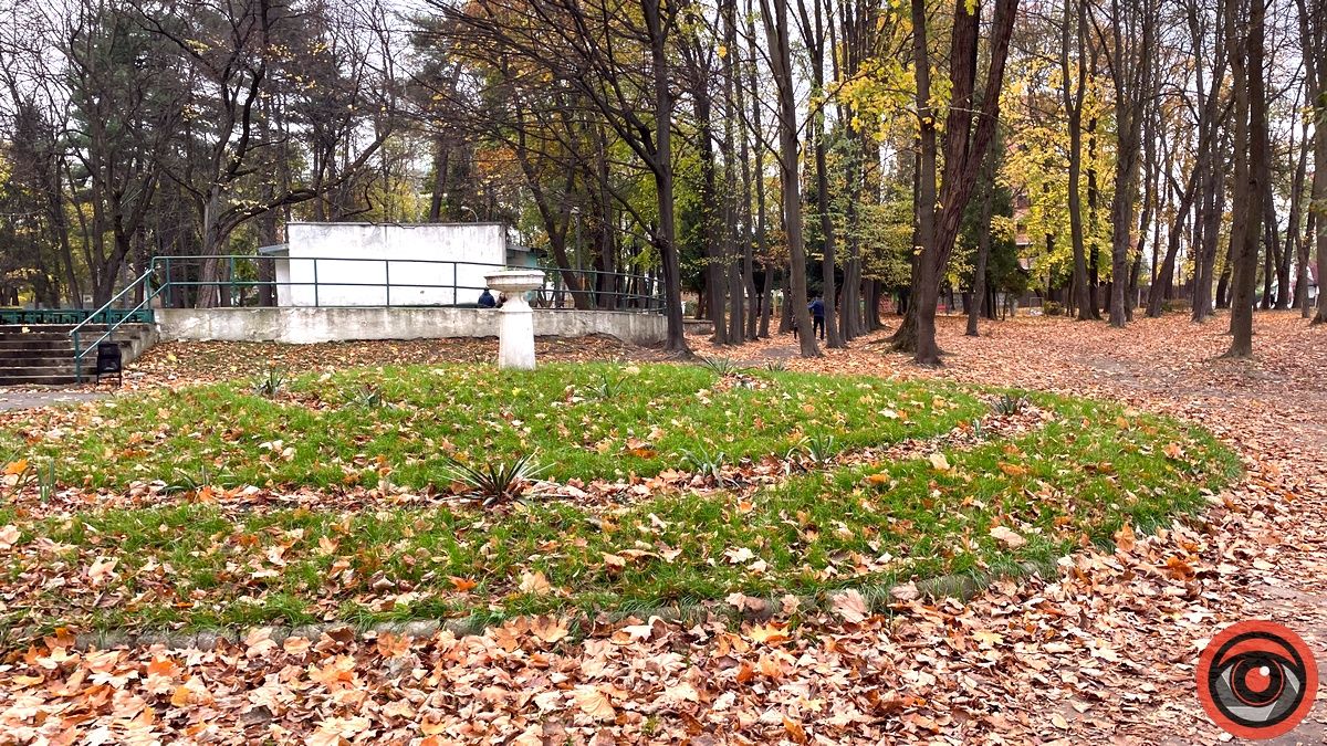 Листопадовий мінор: фоторепортаж з міського парку Коломиї 17