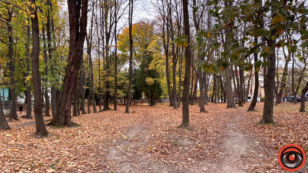 Листопадовий мінор: фоторепортаж з міського парку Коломиї 18