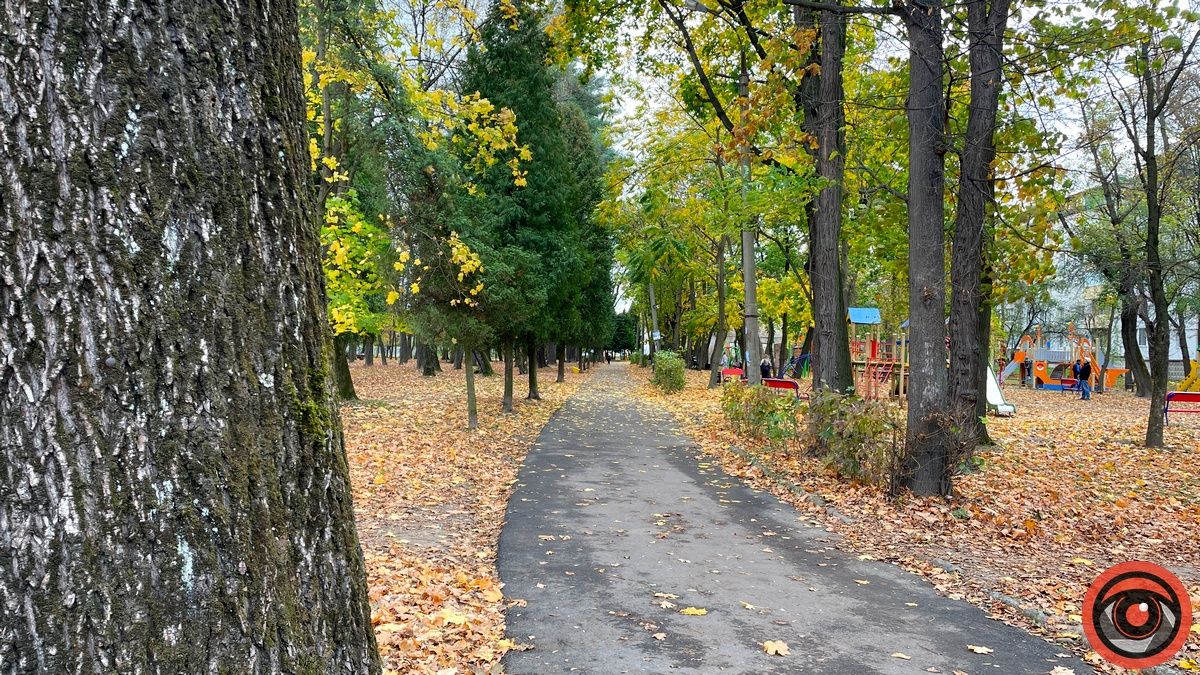 Листопадовий мінор: фоторепортаж з міського парку Коломиї 19