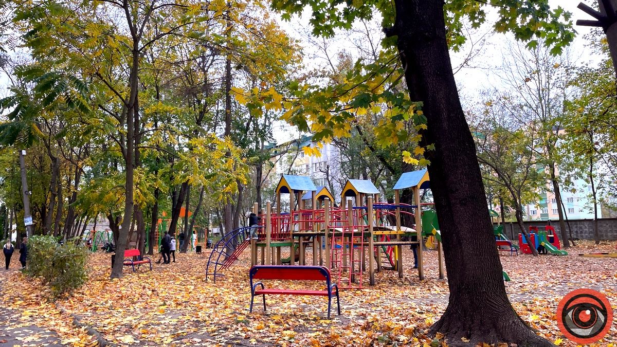 Листопадовий мінор: фоторепортаж з міського парку Коломиї 20