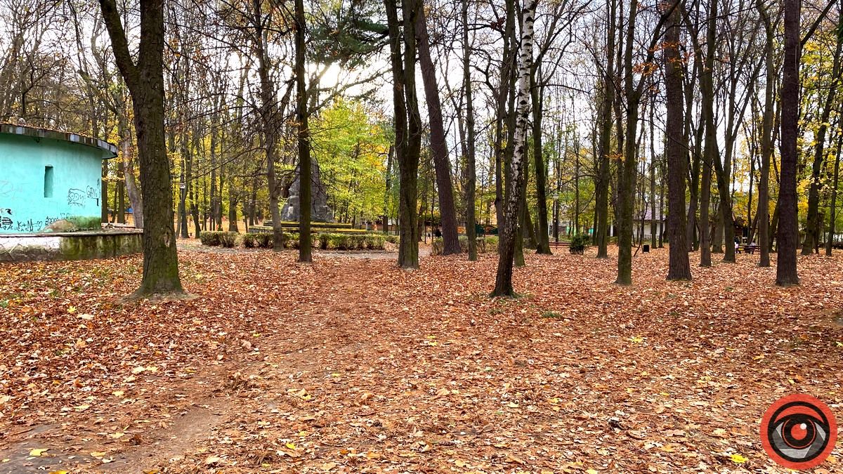 Листопадовий мінор: фоторепортаж з міського парку Коломиї 21