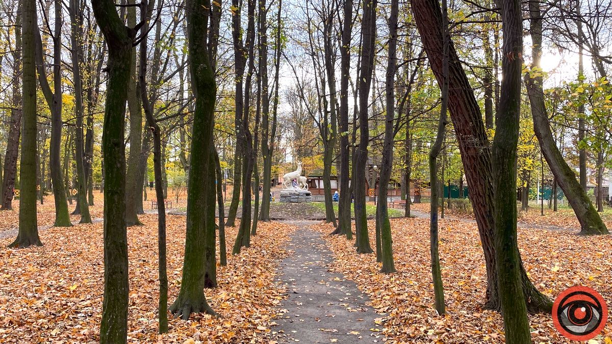 Листопадовий мінор: фоторепортаж з міського парку Коломиї 22