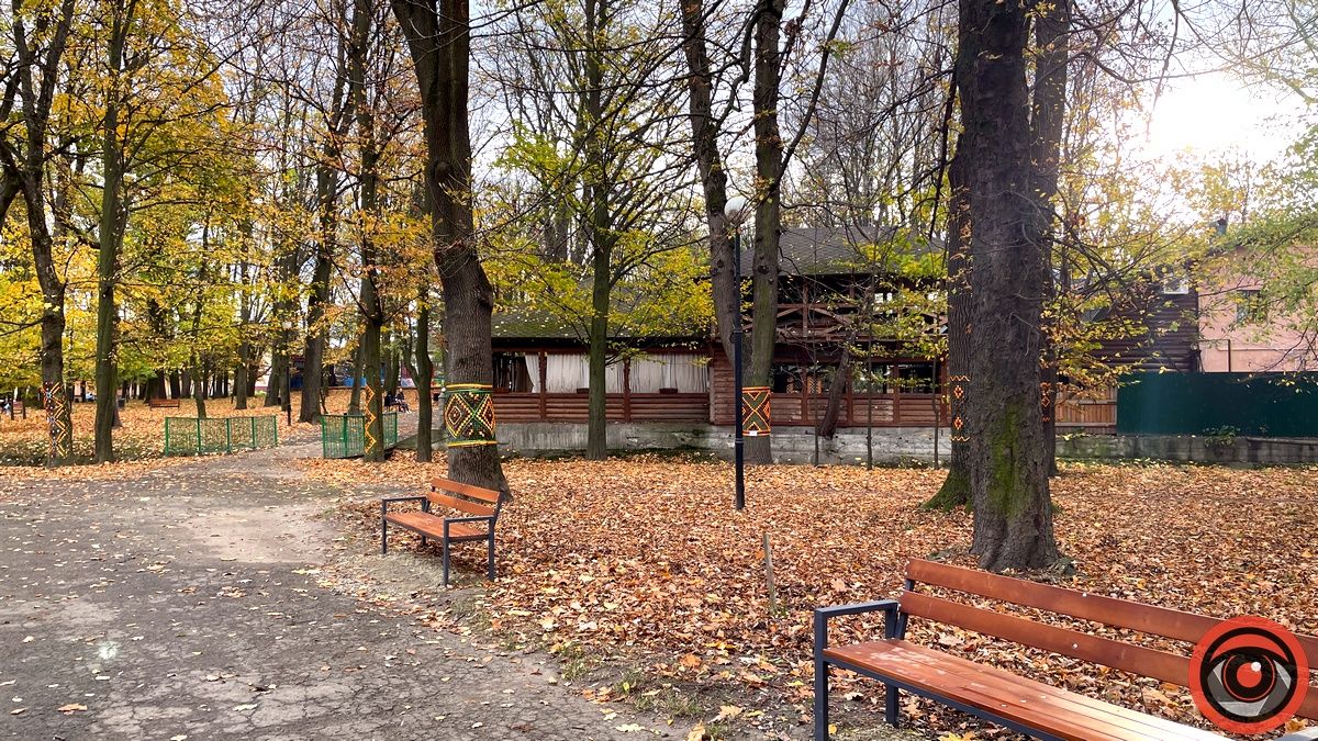 Листопадовий мінор: фоторепортаж з міського парку Коломиї 23