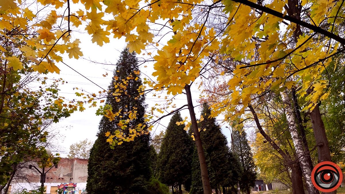 Листопадовий мінор: фоторепортаж з міського парку Коломиї 25