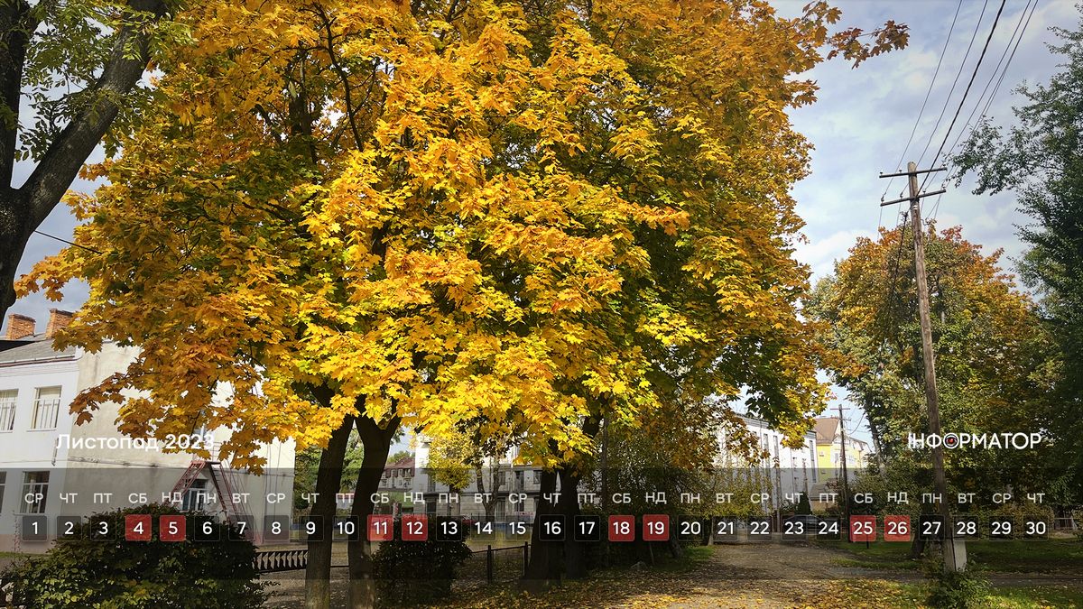 Календар на ваш робочий стіл | Листопад 2023 6